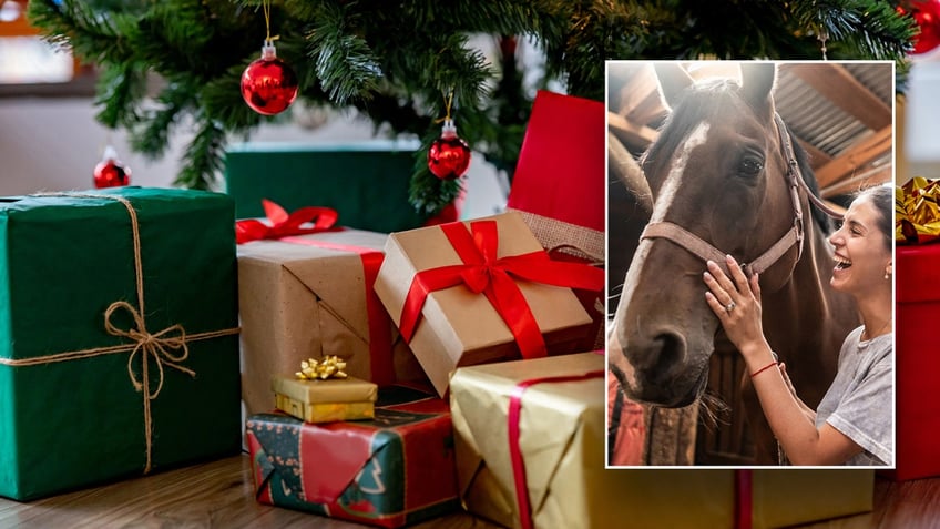 Christmas presents in background and a picture of a girl with her horse