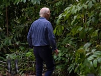 Hollywood Celebrities Mock Joe Biden Wandering Off into the Amazon Rainforest: ‘He was Never Seen Again’