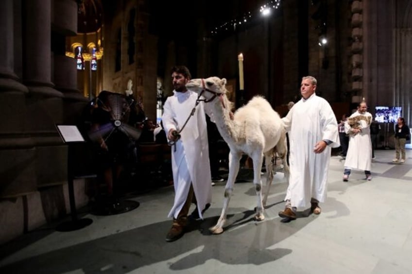 holy camel parade of pets blessed at new york cathedral