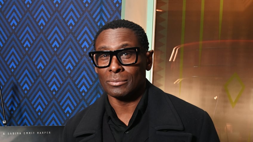 Actor David Harewood