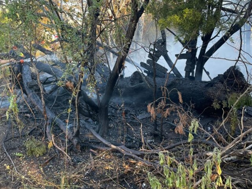 homeless encampment destroys beloved austin park