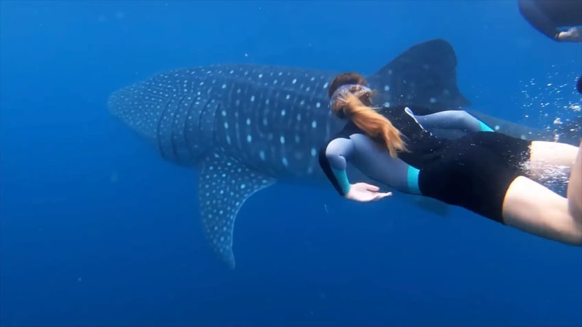 homeschooling on the high seas texas family gives new meaning to real world education