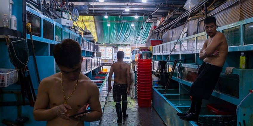 hong kong seafood businesses prepares for japanese import ban due to nuclear wastewater pollution