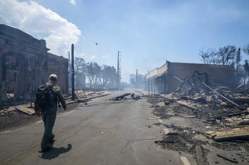 horror those who disobeyed barricades survived maui fires