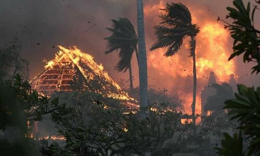 horror those who disobeyed barricades survived maui fires