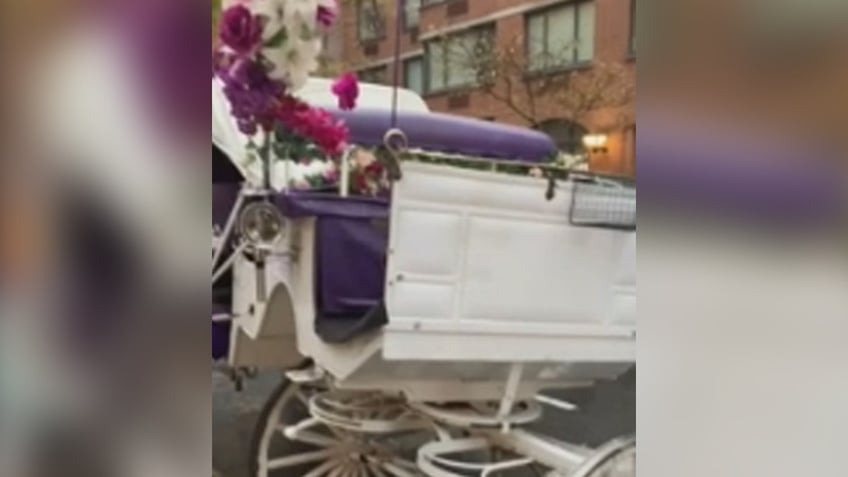 horse breaks loose from carriage wreaks havoc in manhattan running wild