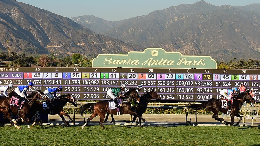 horse dies just days before he was scheduled to race at breeders cup belmont stakes winner scratched