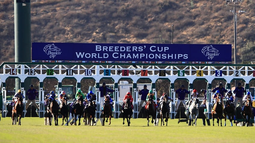 horse dies just days before he was scheduled to race at breeders cup belmont stakes winner scratched