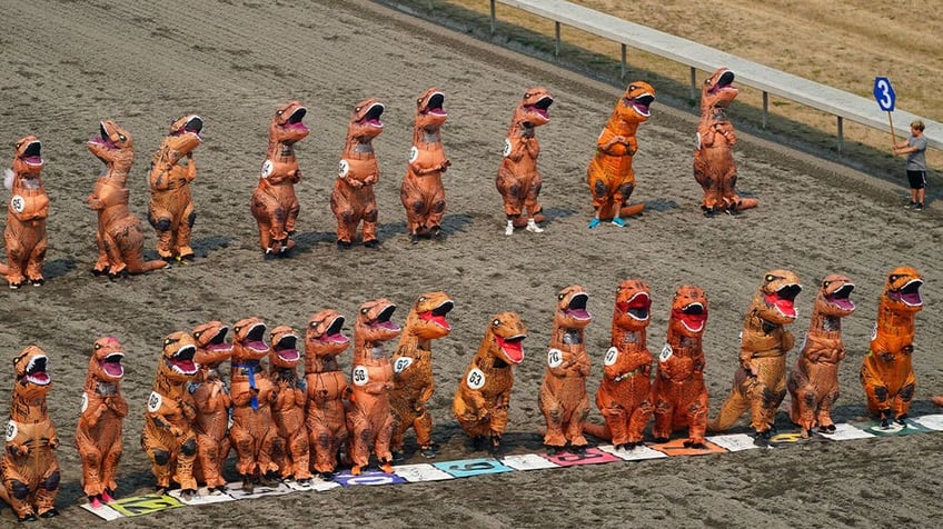 horse race track in washington turns prehistoric as 200 t rexes race to the finish line