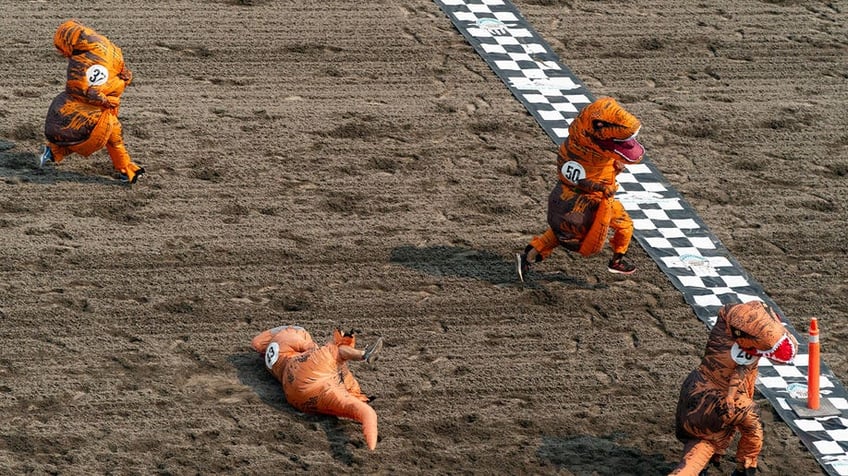 horse race track in washington turns prehistoric as 200 t rexes race to the finish line