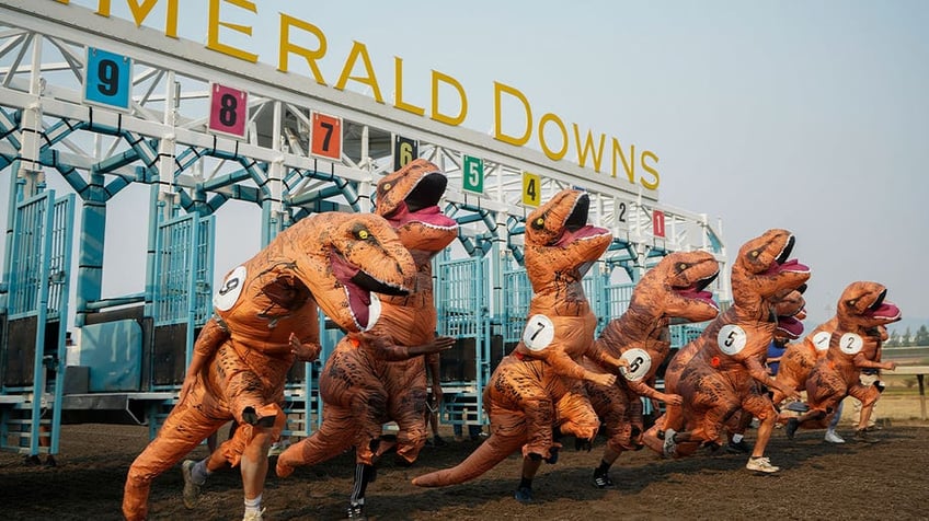 horse race track in washington turns prehistoric as 200 t rexes race to the finish line