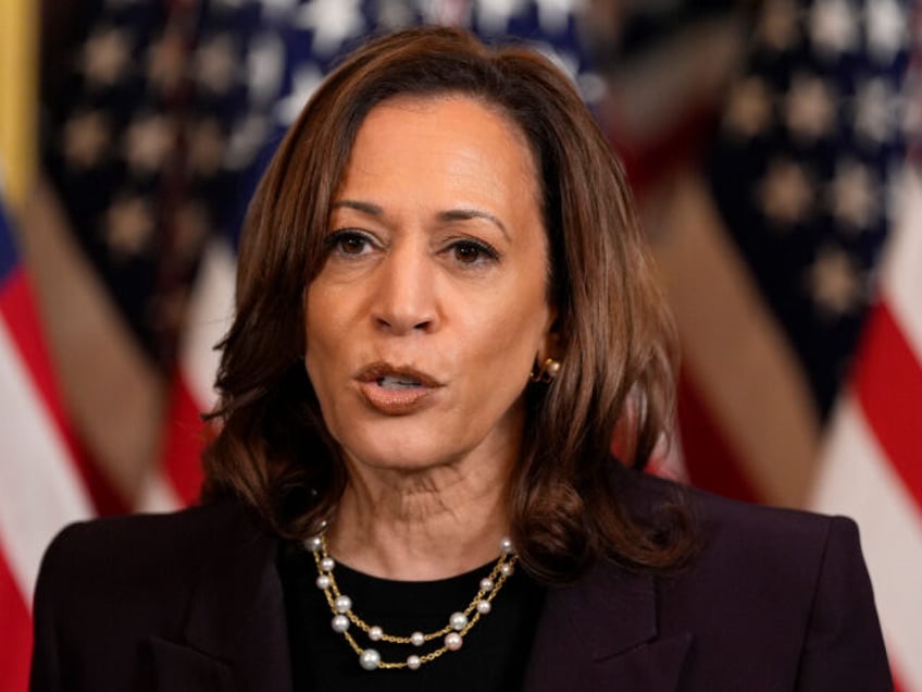 Vice President Kamala Harris speaks following a meeting with Israeli Prime Minister Benjam