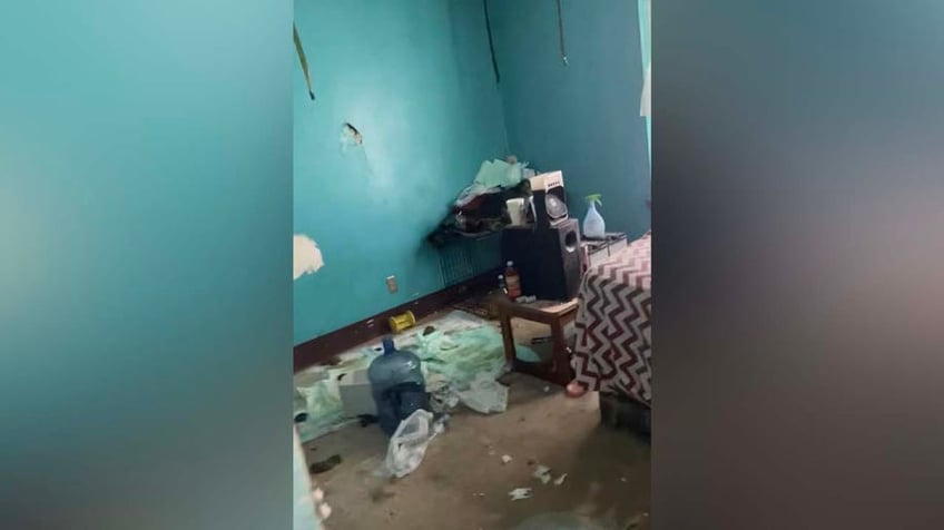 house of horrors dozens of husky puppies mother found inside unlivable abandoned philadelphia home