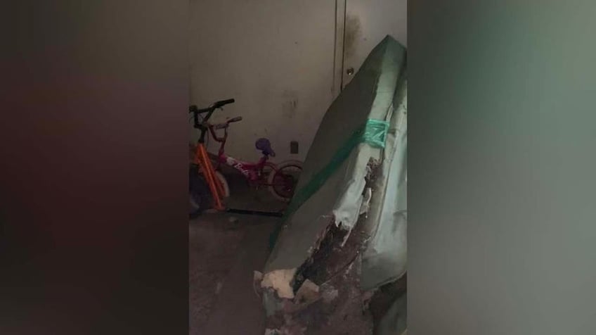 house of horrors dozens of husky puppies mother found inside unlivable abandoned philadelphia home