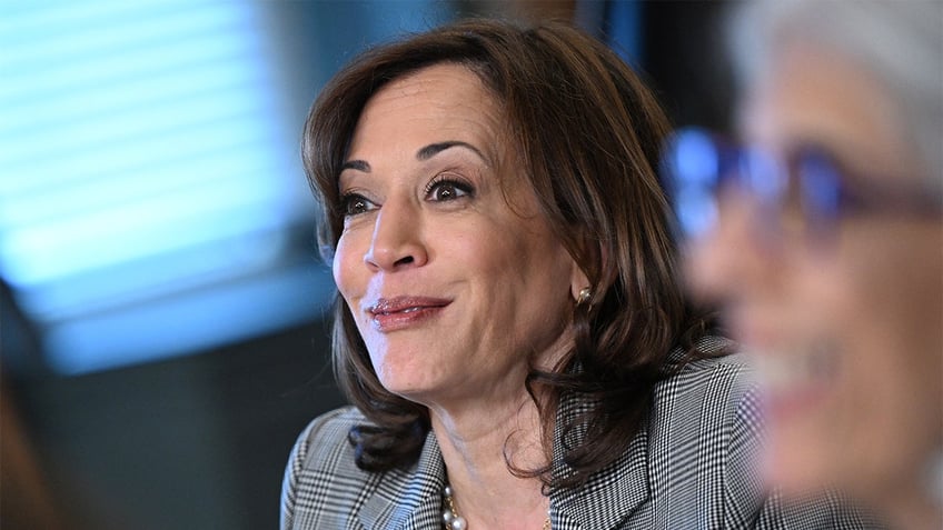 house republicans push to defund kamala harris office irs in key spending bill