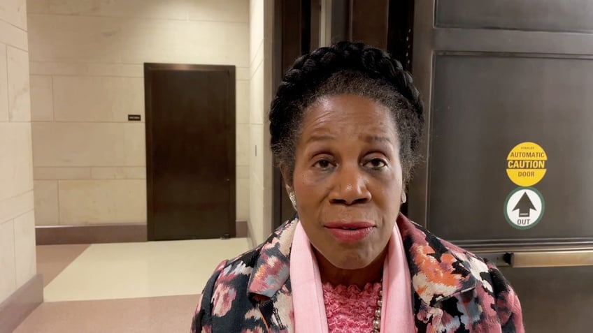 Sheila Jackson Lee discusses fentanyl crisis