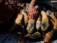 How a Chinese delicacy got caught in the crossfire of Trump’s trade war