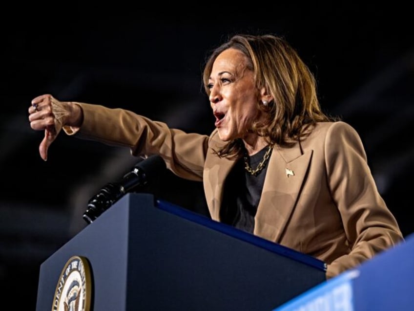 CHANDLER, ARIZONA - OCTOBER 10: Democratic presidential nominee, Vice President Kamala Har