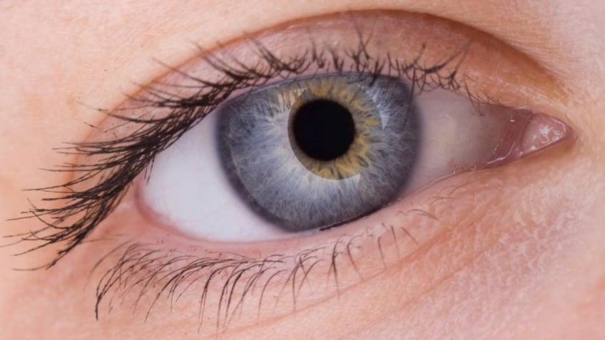 how do we get our eye color a genetics expert reveals the fascinating truth