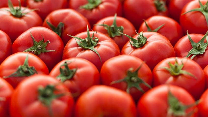 Tomatoes