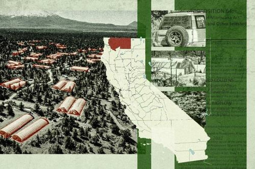 how uninhabited terrain became a hotbed for black market marijuana