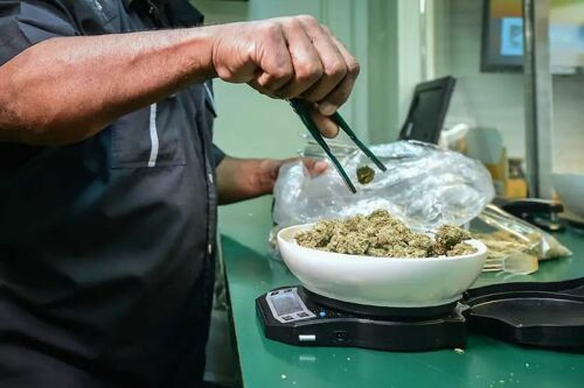 how uninhabited terrain became a hotbed for black market marijuana