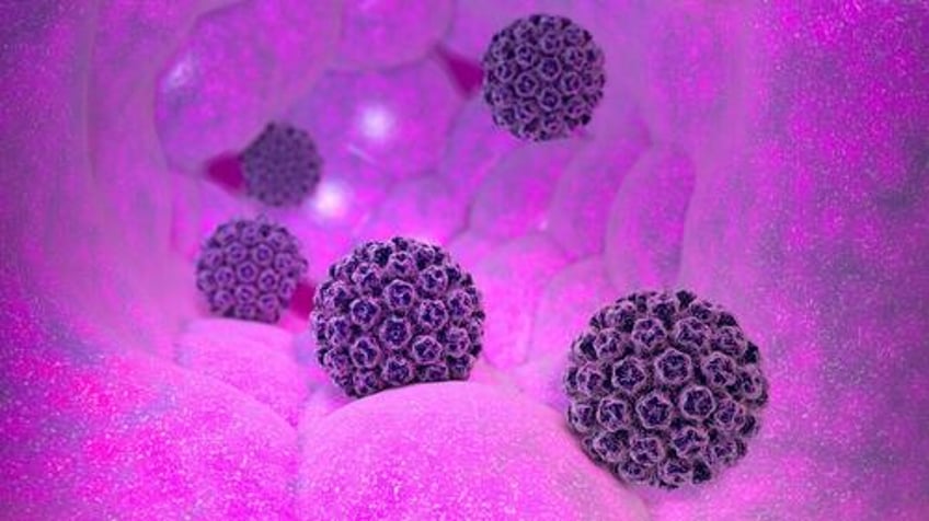 hpv ignites unexpected cancer surge in middle aged adults