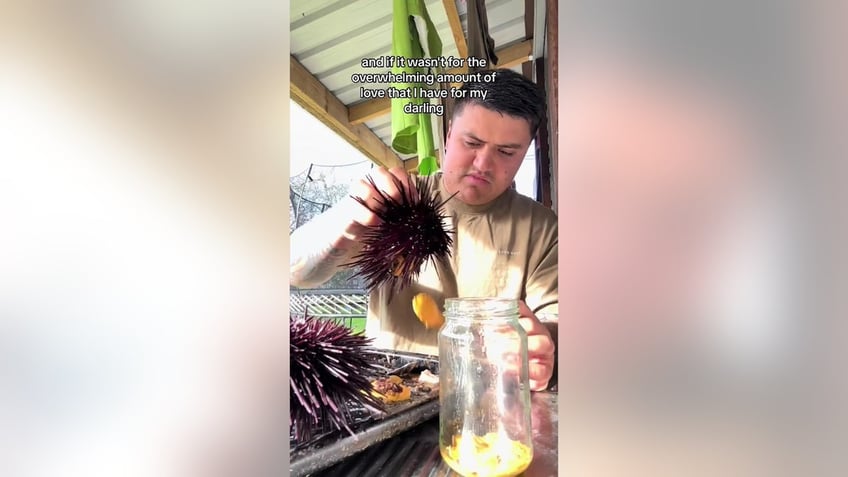 Louis Davis prepping sea urchin