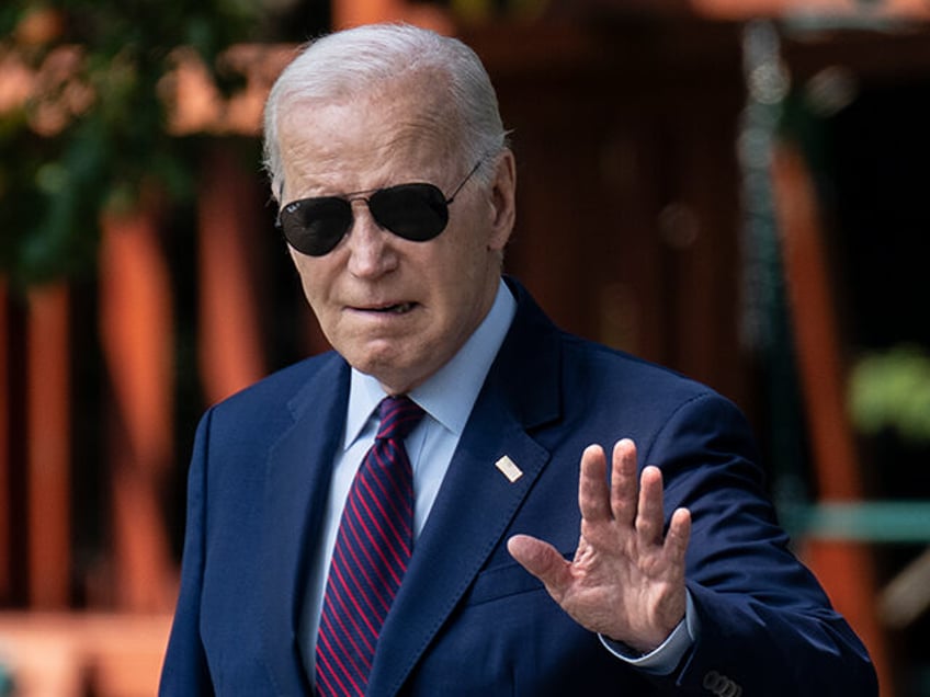 i have to run joe biden insists as opposition to reelection campaign mounts