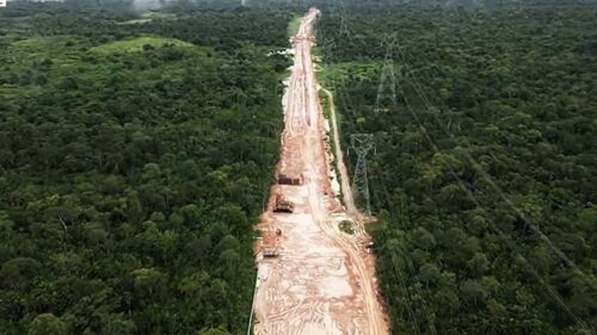 i hit you not rainforest decimated to build mega road for un climate change summit