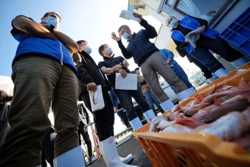 iaea team gathers marine samples near fukushima as treated radioactive water is released into sea