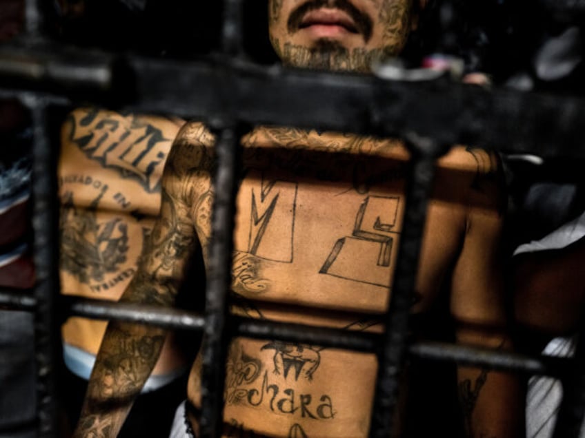 A member of the Mara Salvatrucha gang (MS-13) stands behind bars in a cell at a detention