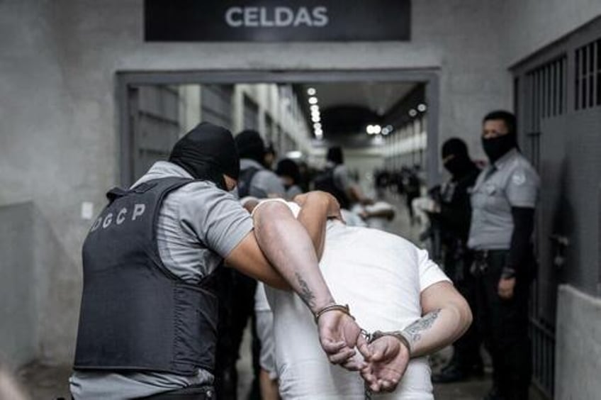 ice arrests 68 more tren de aragua gang members