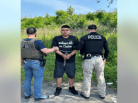 ICE arrests alleged gang member hiding from Mexican authorities in sanctuary city: 'Heinous murderer'