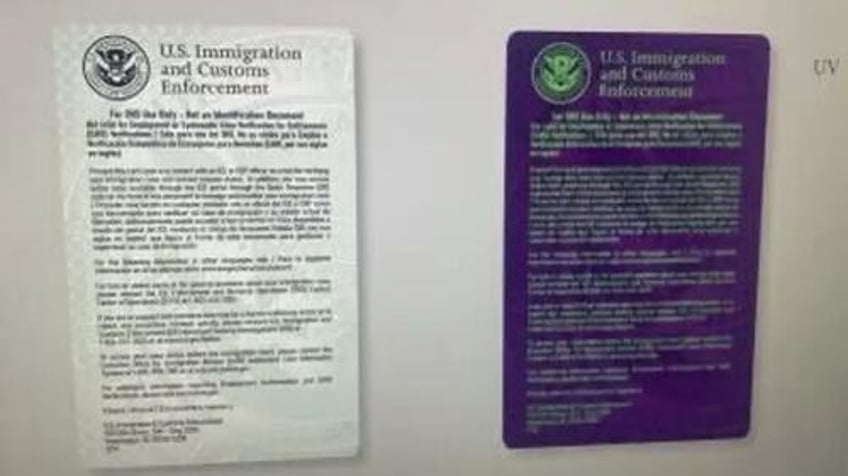 ice expected to roll out id program for illegal immigrants this summer