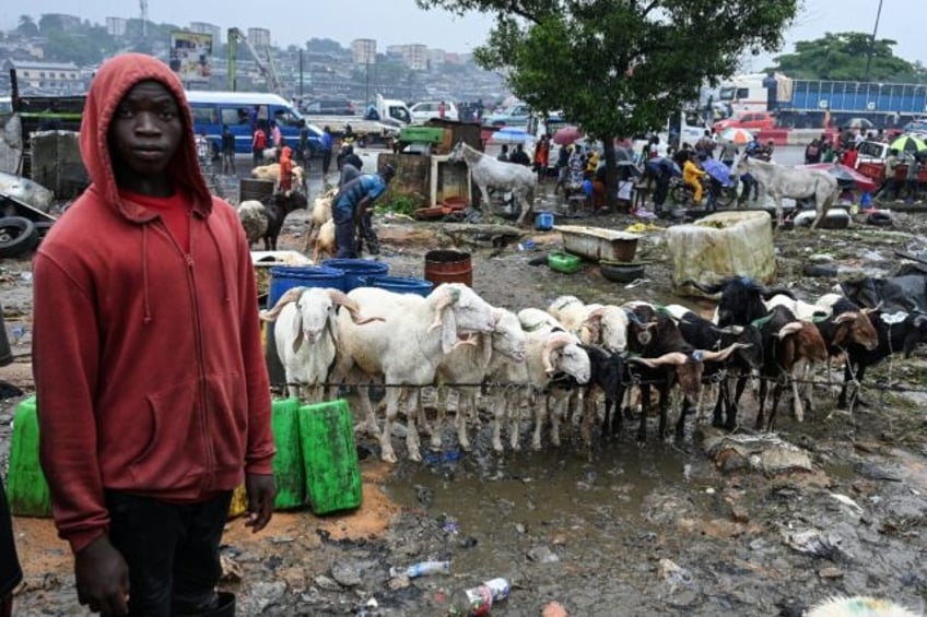 More than 90 percent of livestock consumed during Ivory Coast's Eid comes from Sahel count