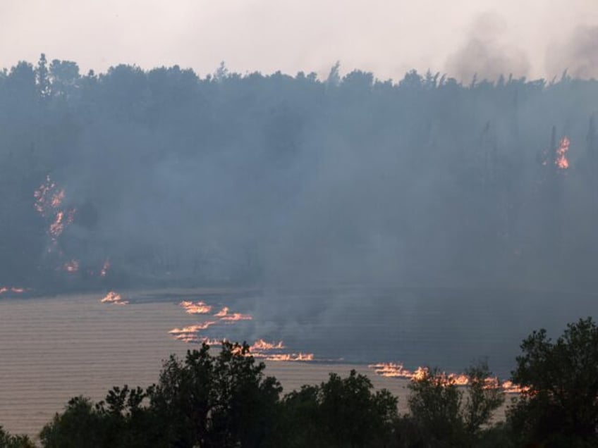 Flames engulf vegetation during a forest fire near the central Israeli town of Bet Shemesh