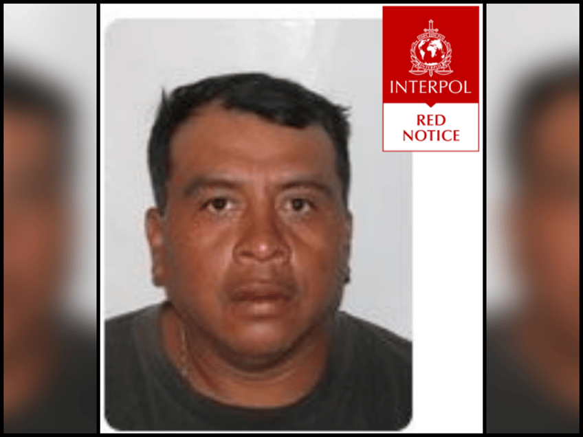 illegal alien fugitive wanted for rape captured in sanctuary state new york