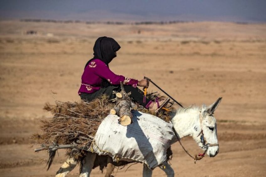 illegal logging turns syrias forests into barren land