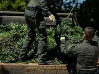 Illegal Weed Growing Operation Found In House Owned By Oakland Police Officer