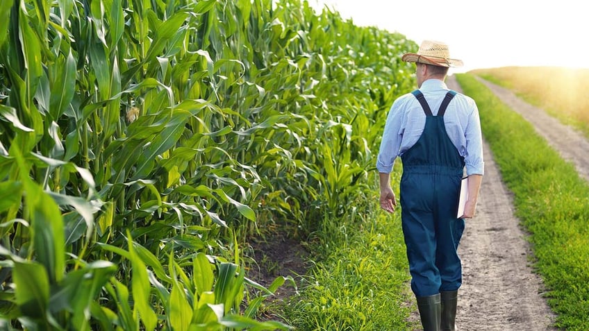 Major disasters caused over $21 billion in crop losses for American farms in 2023.