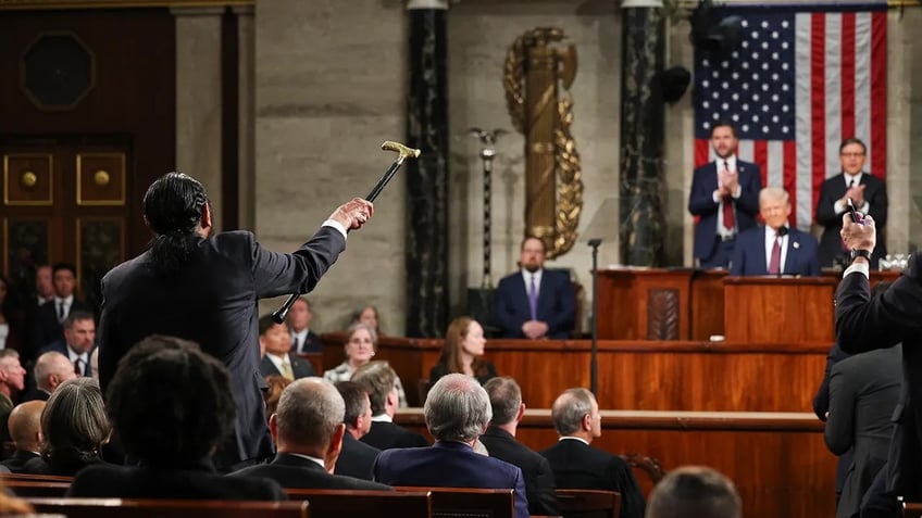 President Donald Trump was interrupted by Rep. Al Green during his joint address to Congress. 