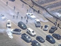 Immigration operation at California cannabis farms leads to clash between federal agents and protesters