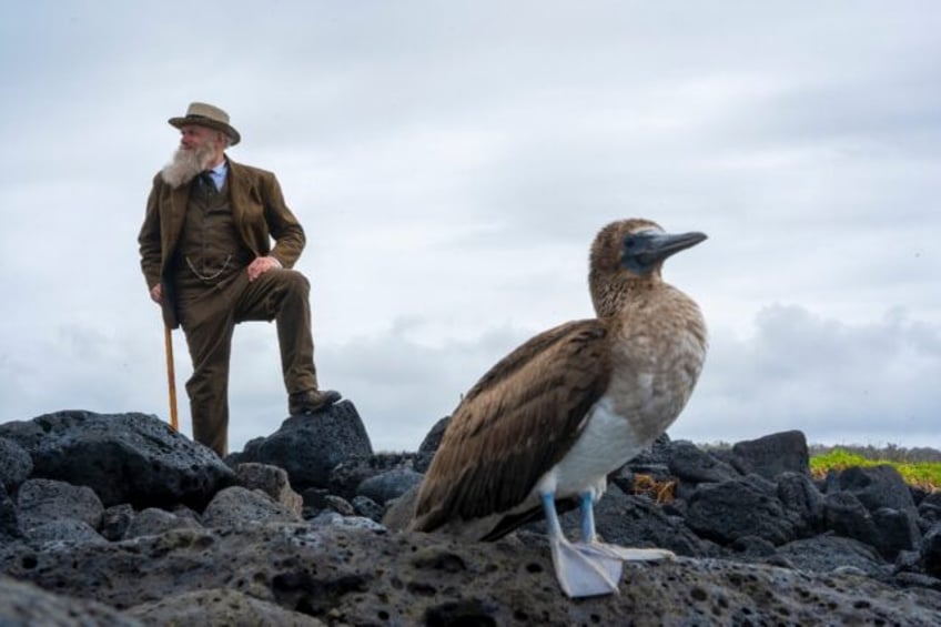 impersonator conjures charles darwin on galapagos visit