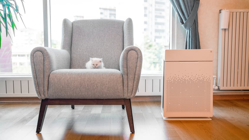 An air purifier can help improve the quality of your indoor air.