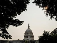 In Clawback For Ants, House Unveils Bill To Recover $9.4 Billion In Waste, Fraud And Abuse