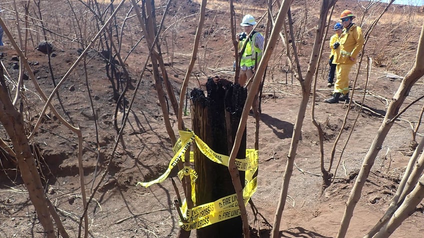 in hawaii overgrown gully and stubborn embers may have contributed to mauis fast spreading wildfire