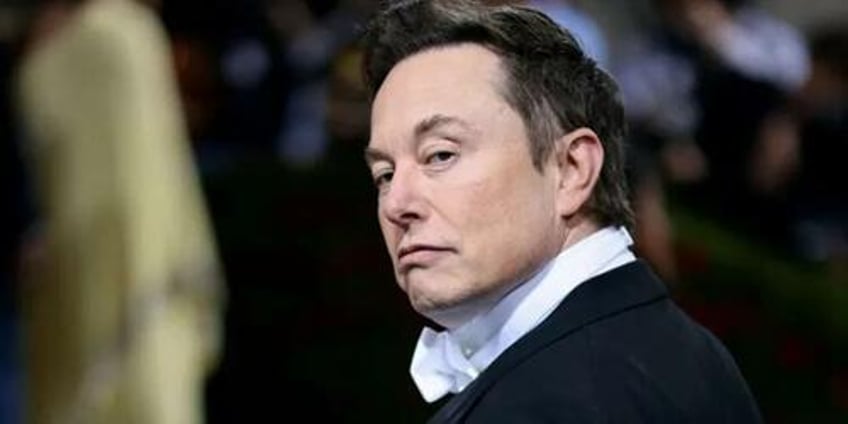 in latest threat to german democracy dangerous fascist elon musk tweets six words about afd