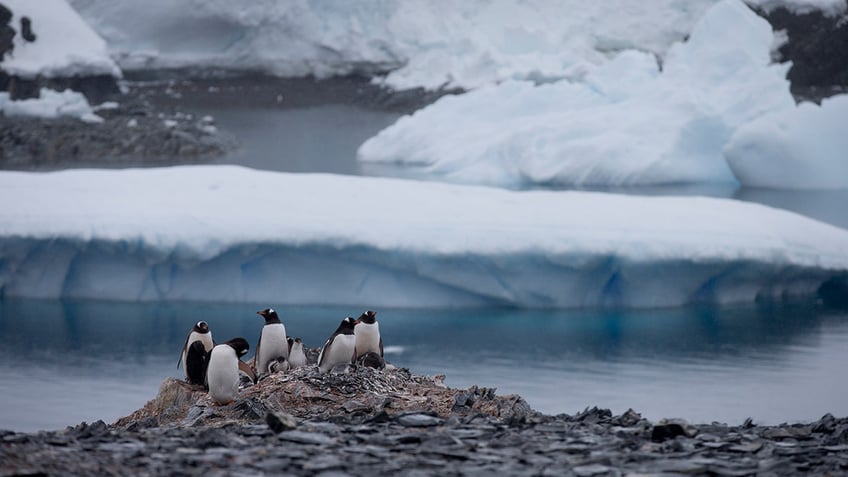 Chile-Antarctica