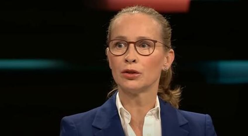 in panic mode germanys cdu retreats from far left judge who backs afd ban mandatory vaccinations late term abortions